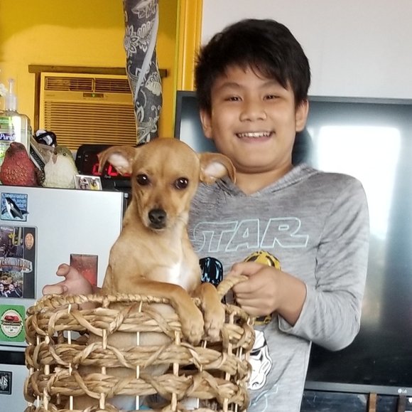 Andj's Hidden Treasures - Picture 7 of 7